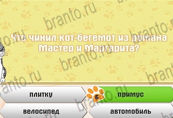 Самый умный котёнок Одноклассники решения на игру Уровень 678