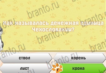 Самый умный котёнок все отгадки Одноклассники Уровень 679