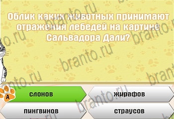 игра Самый умный котёнок все отгадки в Одноклассниках Уровень 680