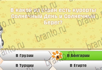 игра Самый умный котёнок все ответы Уровень 684