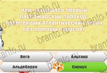 все решения к игре Самый умный котёнок Уровень 687