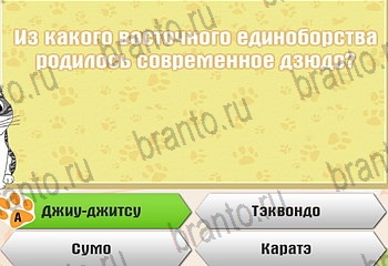 решения на все задания игры Самый умный котёнок Уровень 688