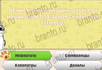 Самый умный котёнок игра ответы Уровень 689