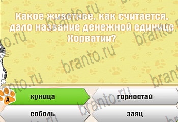 игра Самый умный котёнок ответы уровень 690