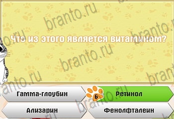 Самый умный котёнок ответы Уровень 691