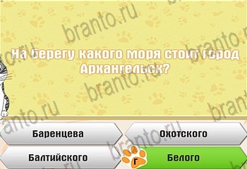Одноклассники Самый умный котёнок ответ на Уровень 692