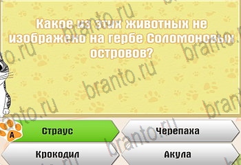 Самый умный котёнок Одноклассники подсказки Уровень 693