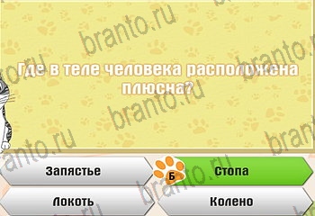 Самый умный котёнок игра из одноклассников помощь Уровень 695