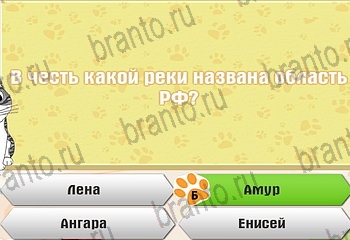 Самый умный котёнок в Одноклассниках подсказки Уровень 703