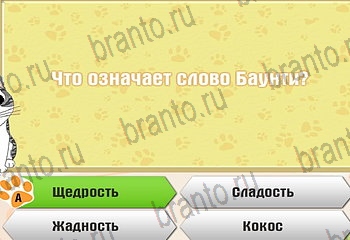 игра Самый умный котёнок из одноклассников подсказки Уровень 704