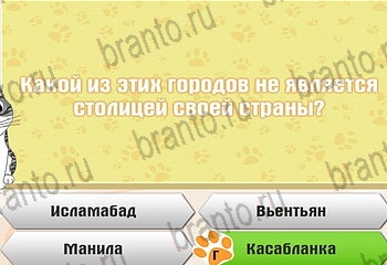 Самый умный котёнок помощь Уровень 705