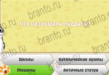 Игра Самый умный котёнок Одноклассники решения Уровень 707