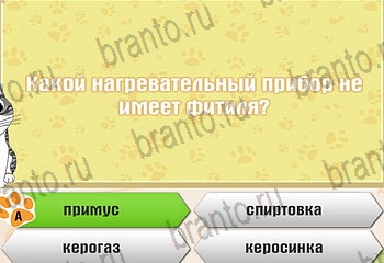 игра Самый умный котёнок все отгадки в Одноклассниках Уровень 710