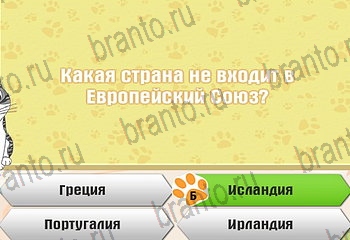 Самый умный котёнок разгадки к игре Уровень 711