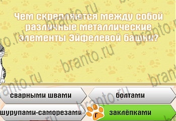игра Самый умный котёнок разгадки на все задания Уровень 712