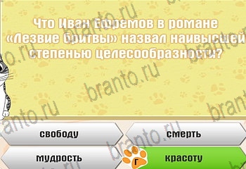 Самый умный котёнок все ответы Уровень 713