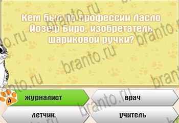 все решения к игре Самый умный котёнок Уровень 717