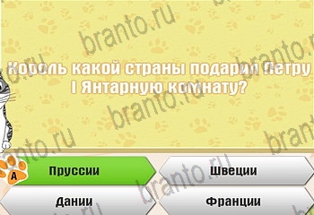 решения на все задания игры Самый умный котёнок Уровень 718