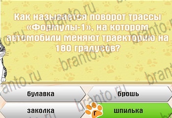 Самый умный котёнок игра ответы Уровень 719