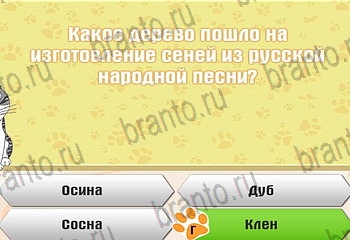 игра Самый умный котёнок ответы уровень 720