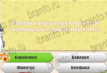 Одноклассники Самый умный котёнок ответ на Уровень 722