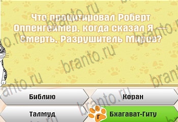 Одноклассники Самый умный котёнок прохождение игры Уровень 724