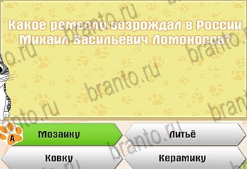 Самый умный котёнок ответы на все задания Уровень 727