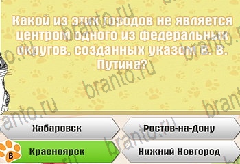 игра Самый умный котёнок в Одноклассниках ответы Уровень 729