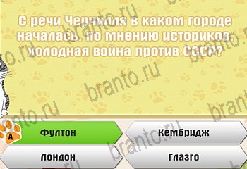 Самый умный котёнок из одноклассников помощь Уровень 736
