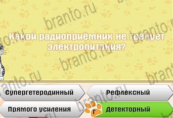 Игра Самый умный котёнок Одноклассники решения Уровень 737