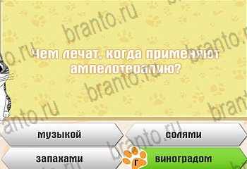 Самый умный котёнок Одноклассники решения на игру Уровень 738