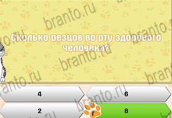 игра Самый умный котёнок все отгадки в Одноклассниках Уровень 740