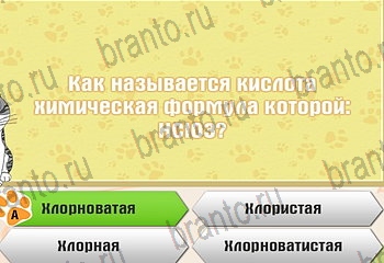 игра Самый умный котёнок разгадки на все задания Уровень 742