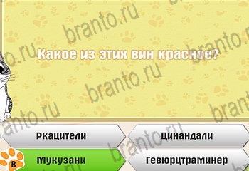 Самый умный котёнок все ответы Уровень 743