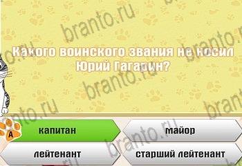 игра Самый умный котёнок все ответы Уровень 744