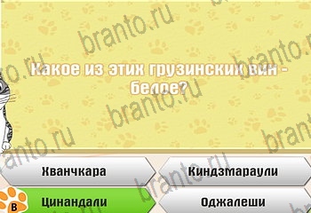 ответы на все уровни игры Самый умный котёнок Уровень 745