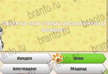 решения на все задания игры Самый умный котёнок Уровень 748