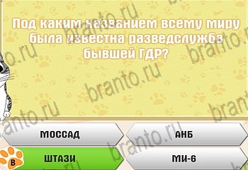 Самый умный котёнок ответы Уровень 751