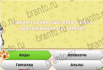 Самый умный котёнок Одноклассники подсказки Уровень 753