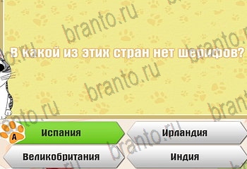 из одноклассников Самый умный котёнок ответы на игру Уровень 762