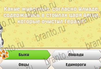 Самый умный котёнок в Одноклассниках подсказки Уровень 763
