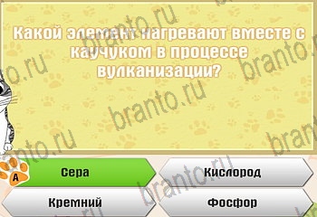 Игра Самый умный котёнок Одноклассники решения Уровень 767