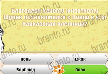 Самый умный котёнок Одноклассники решения на игру Уровень 768