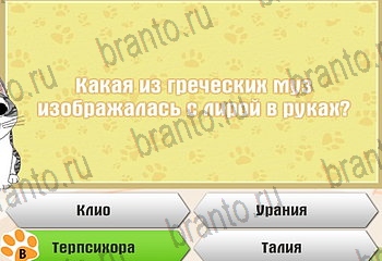 Самый умный котёнок все отгадки Одноклассники Уровень 769