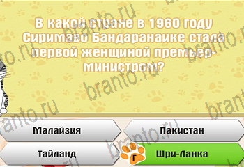 игра Самый умный котёнок все отгадки в Одноклассниках Уровень 770