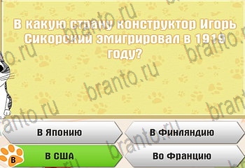 Самый умный котёнок разгадки к игре Уровень 771