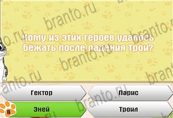 игра Самый умный котёнок все ответы Уровень 774