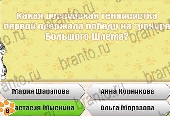 подсказки на все уровни игры Самый умный котёнок Уровень 776
