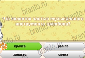 все решения к игре Самый умный котёнок Уровень 777