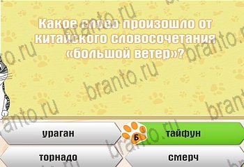 Самый умный котёнок игра ответы Уровень 779